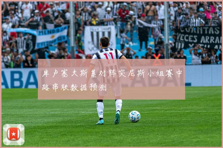 库卢塞夫斯基对阵突尼斯小组赛中路串联数据预测