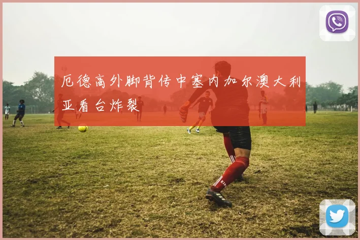 厄德高外脚背传中塞内加尔澳大利亚看台炸裂