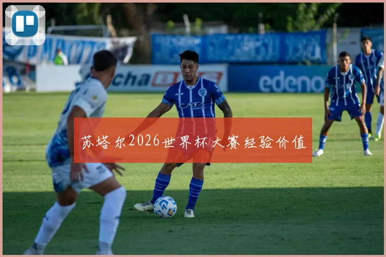 苏塔尔2026世界杯大赛经验价值