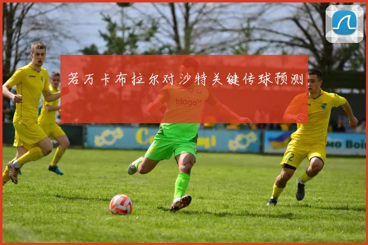 若万卡布拉尔对沙特关键传球预测