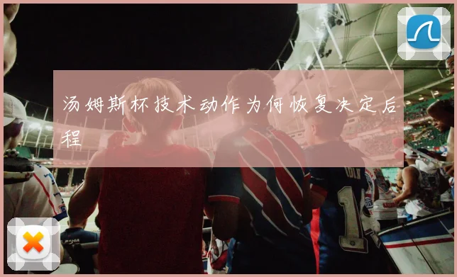 汤姆斯杯技术动作为何恢复决定后程