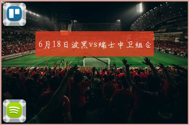 6月18日波黑vs瑞士中卫组合