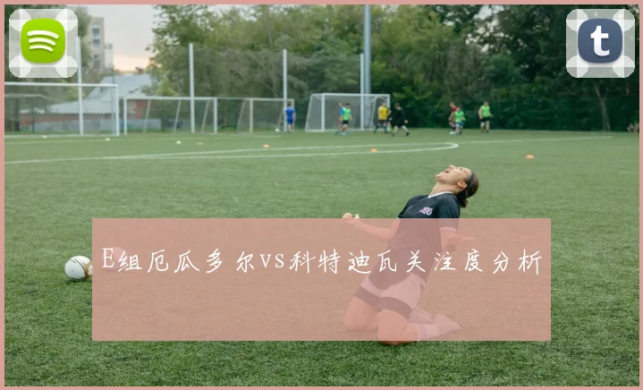 E组厄瓜多尔vs科特迪瓦关注度分析