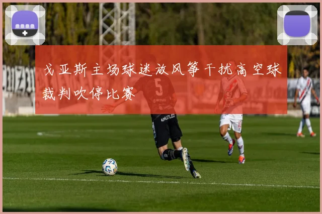 戈亚斯主场球迷放风筝干扰高空球裁判吹停比赛